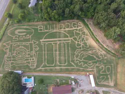 Aerial view of a corn maze featuring a football helmet, arch structure, and the word 'Bulldogs' with the year '2021' carved into the field.