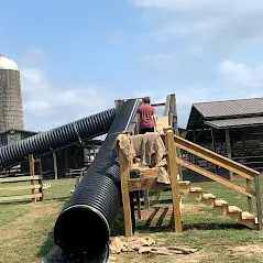 Young children sitting on the floor in a circle, participating in a group activity with educational cards.