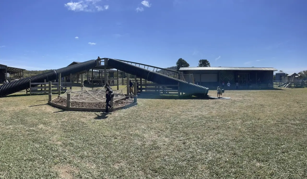 Group of children playing a collaborative game with colorful balls inside a classroom.