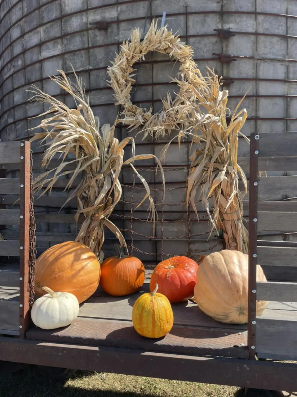 Children lining up and forming words with large colorful letters on the floor, guided by a teacher.
