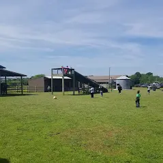Children playing a sorting game with illustrated cards, seated around a table.