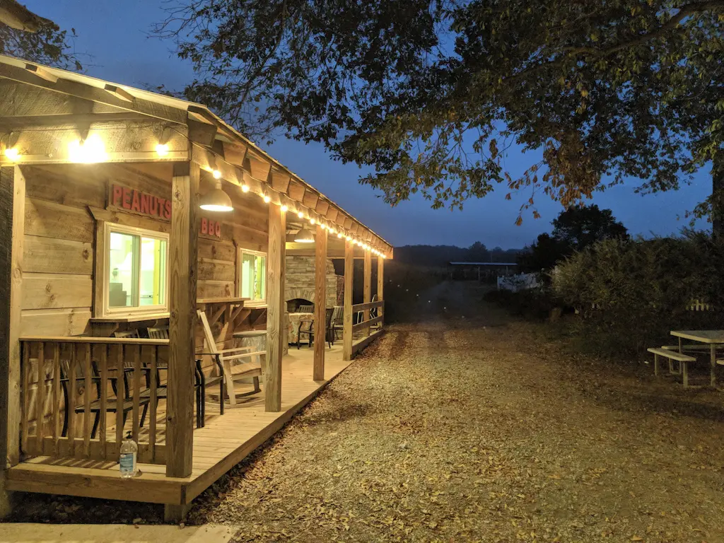 Physical activity where children are jumping through colorful hoops placed on the ground.