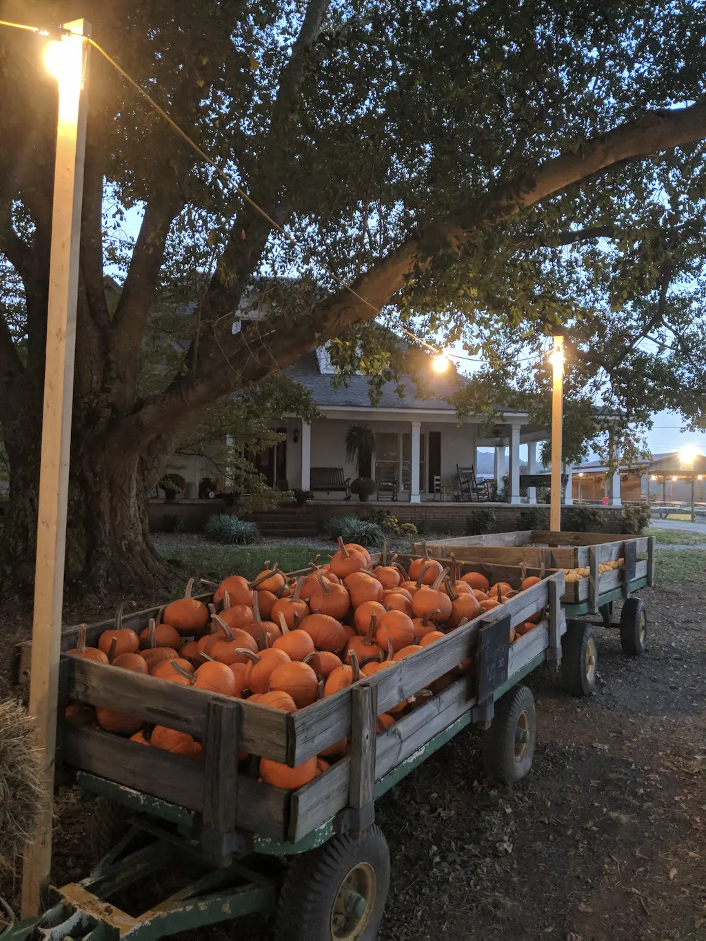 Children forming words with moveable letters during a group activity on a carpet.