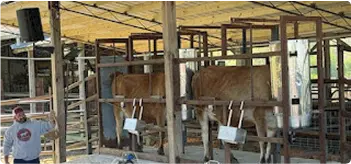 Image of School Field Trips